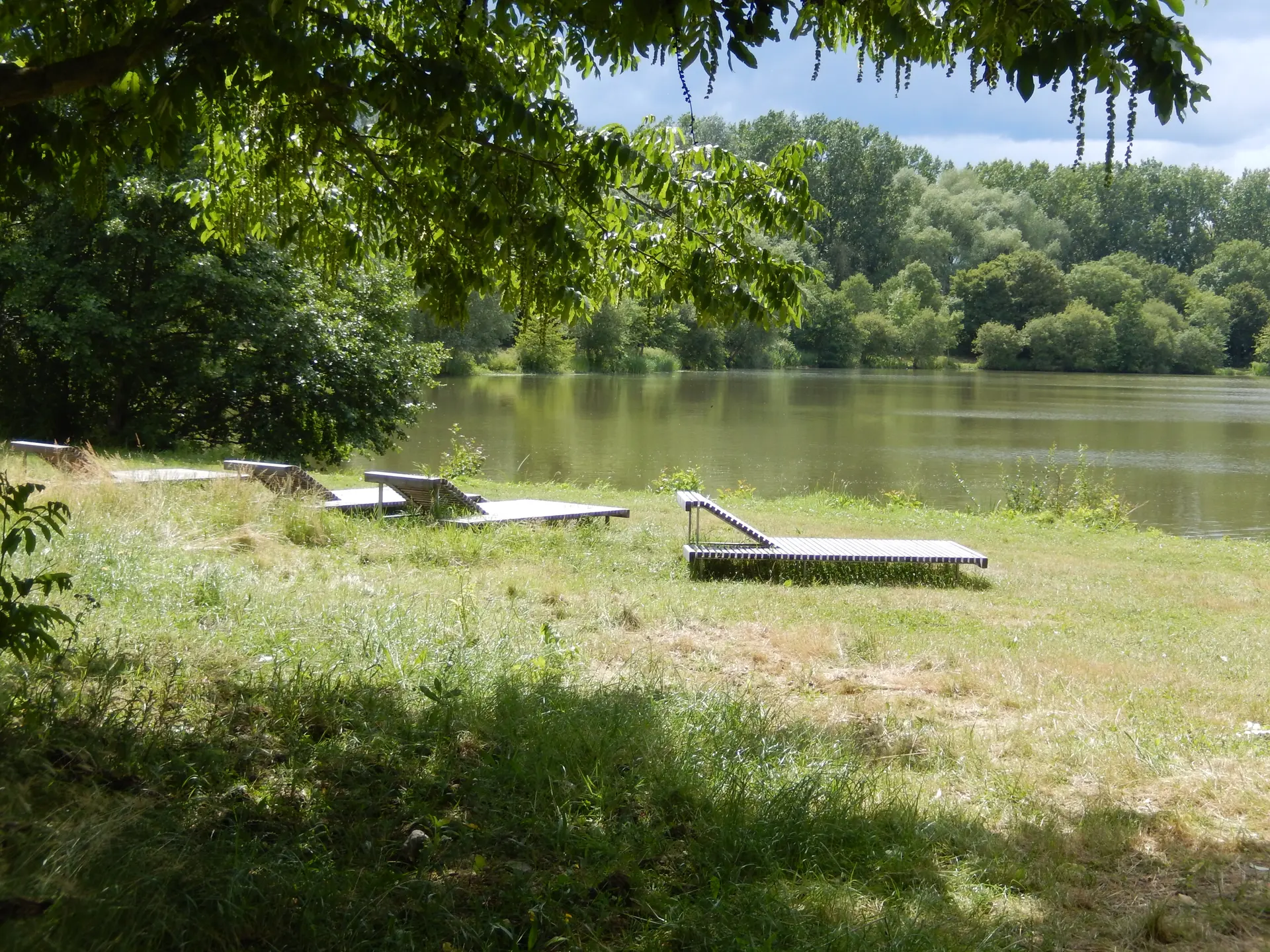 Etang d'Apigneě BP (1)