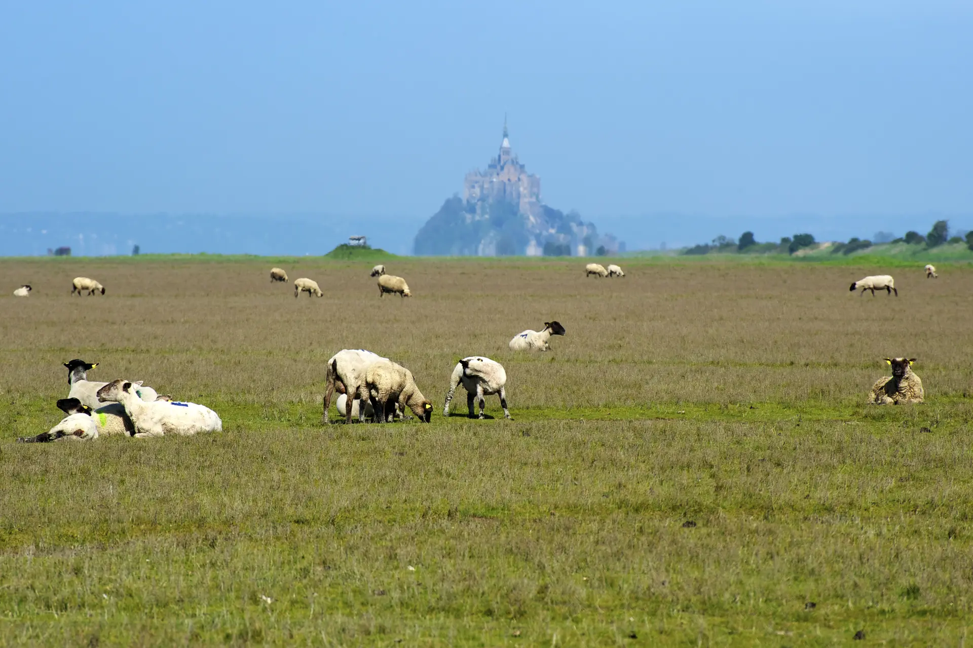 FRAIN YANNICK - CREDIT PHOTO