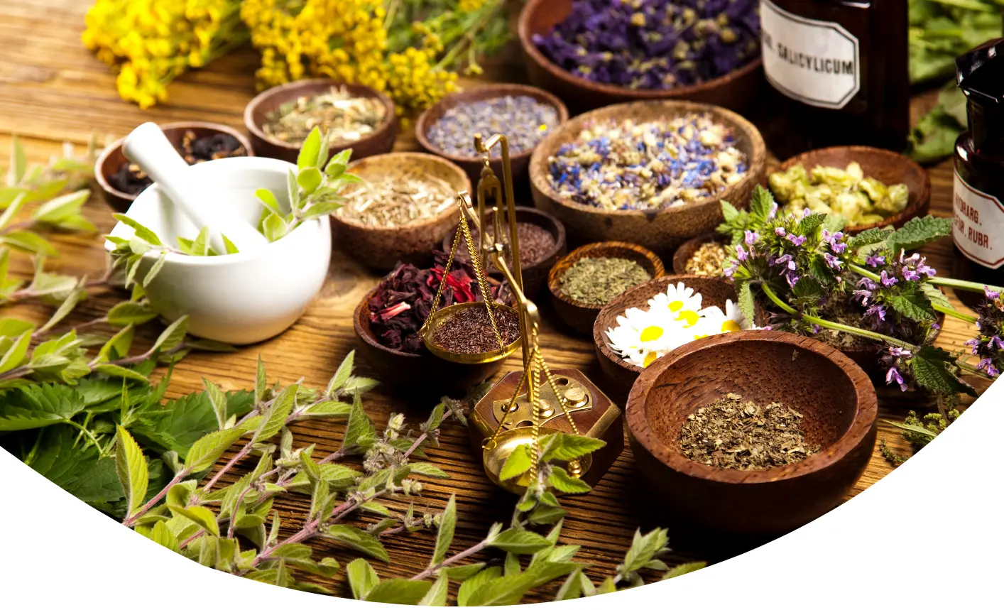 Affiche PLANTES MEDICINALES - 1