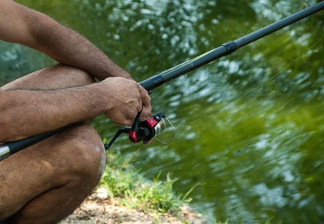 Pêche