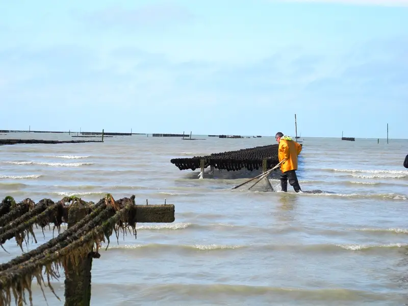 Pêche en Baie - ©Train Marin