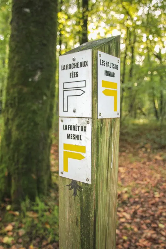 Signalétique Forêt du Mesnil