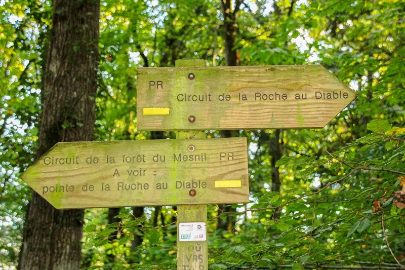 Flèche Forêt du Mesnil