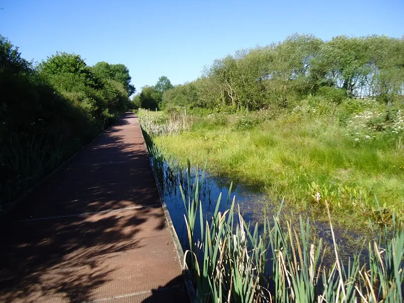 Réserve ornithologique de Careil