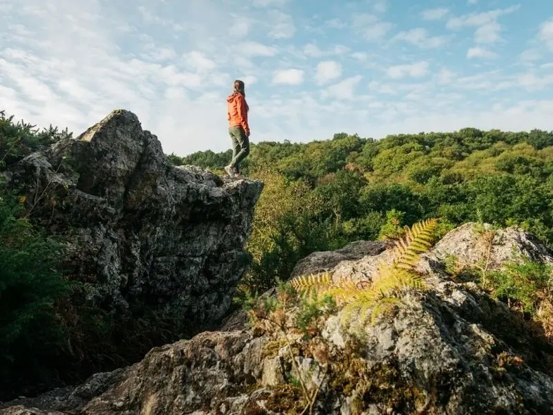 Saut Roland
