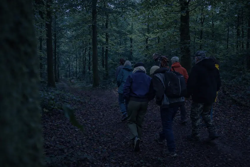 Sortie nocture au bois de la Motte