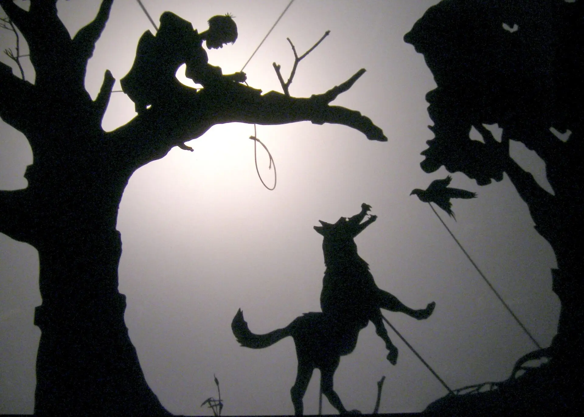 Théâtre des ombres 2
