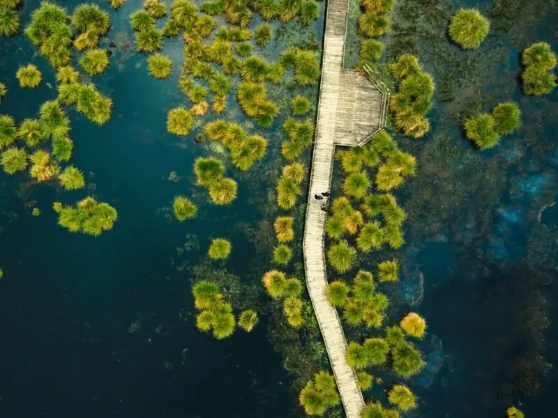 Tourbière de Landemarais