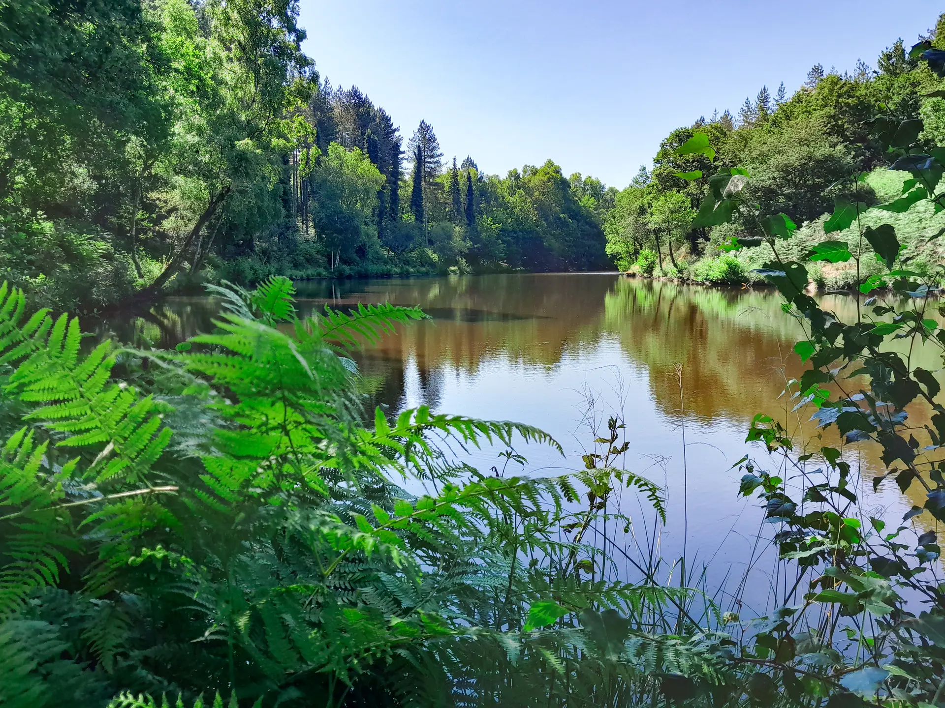 Vallon de la chambre au loup