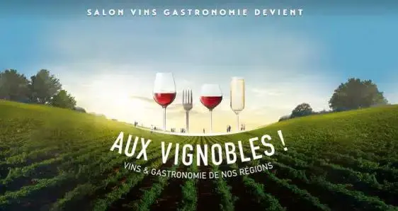 Vignobles