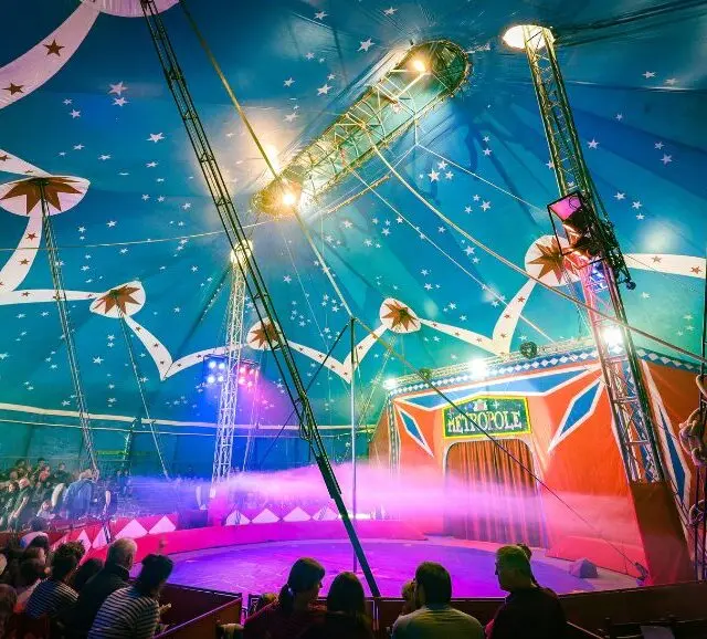 cirque-metropole-spectacle-de-noel-21157-29232-640x578