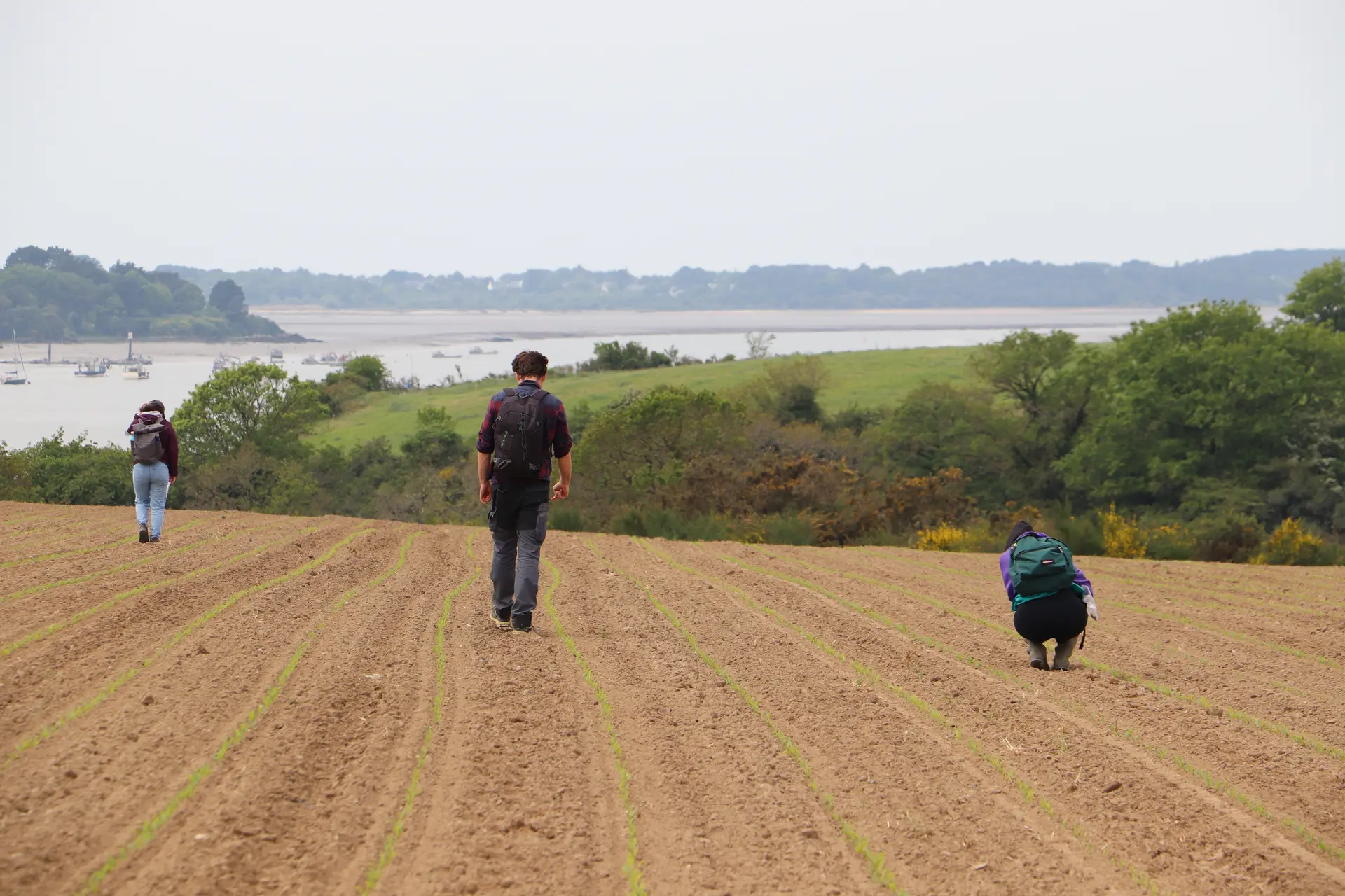 prospection archéologique