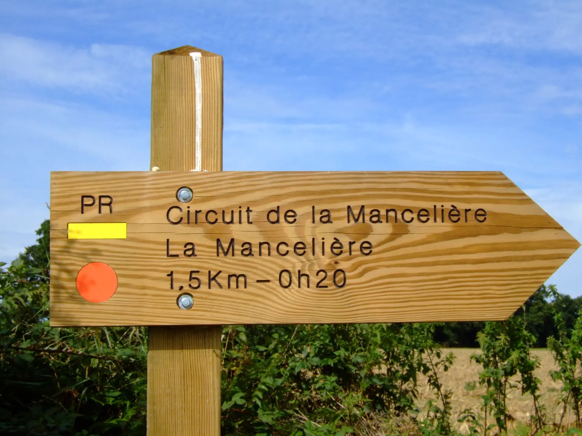 flèche©OT SMBMSM