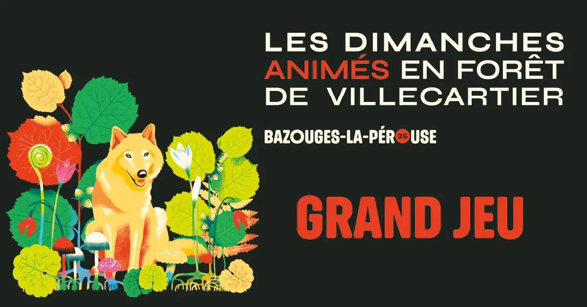Grand jeu en forêt de Villecartier