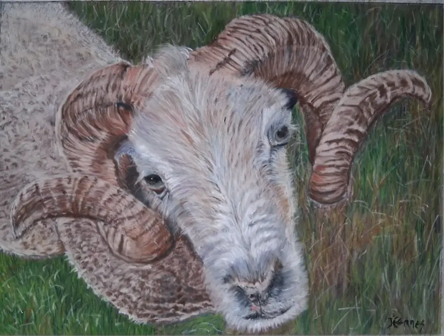 iHermes      Barnabé le bélier