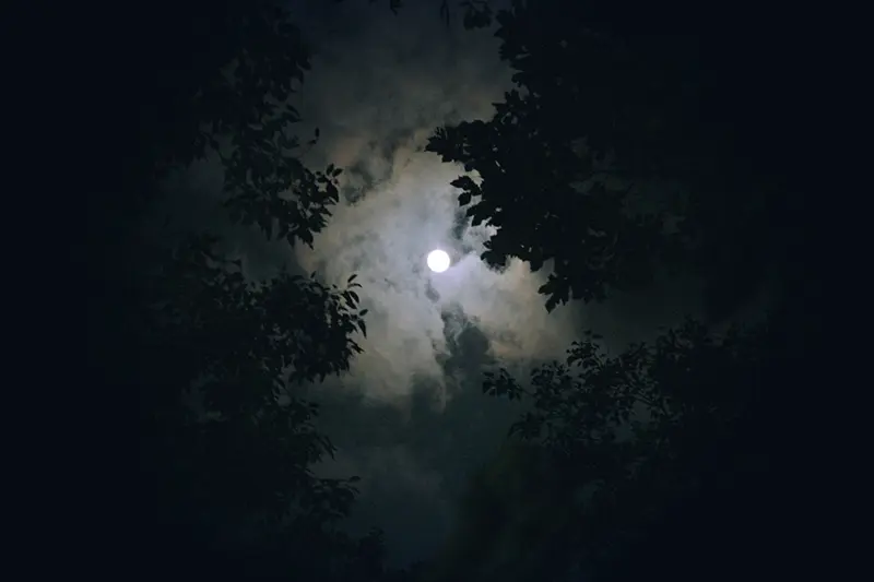 balade nocturne