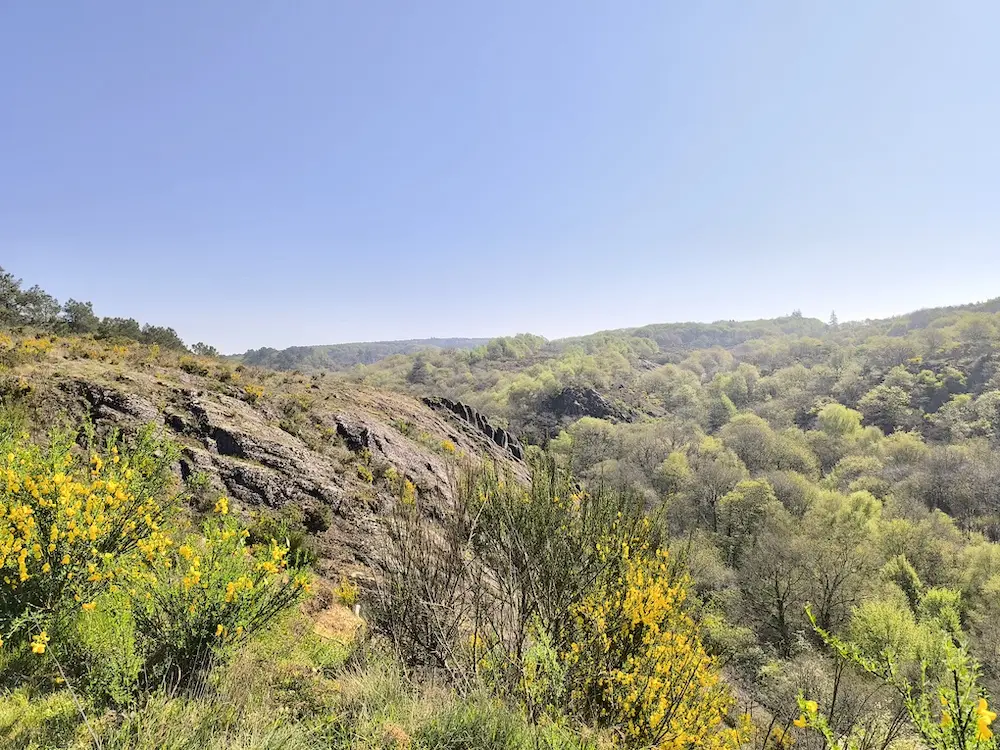 schiste rouge-paimpont-broceliande