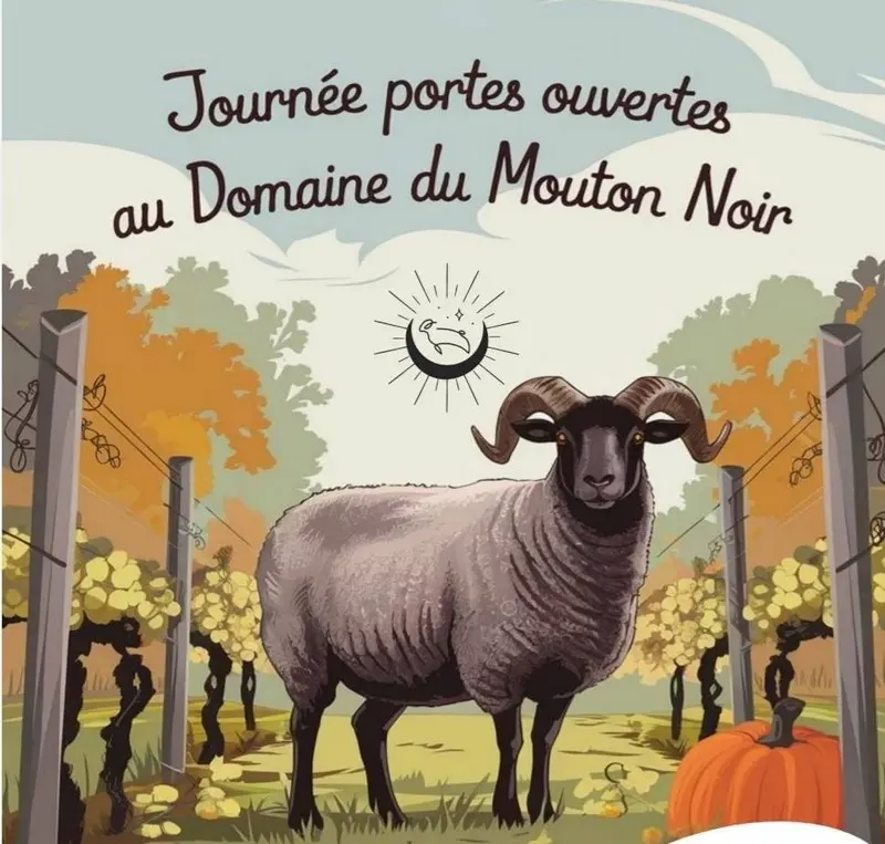 Porte ouverte Domaine du Mouton Noir à Chançay
