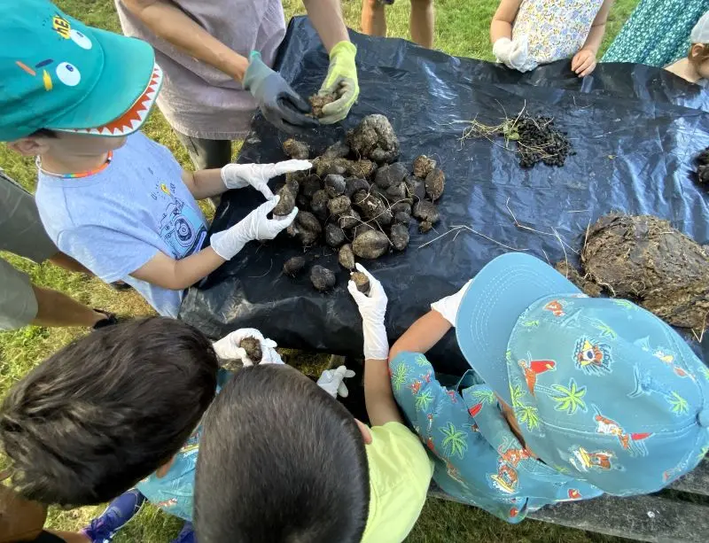 0508 - Crotte alors - © Les musées Chinon Vienne et Loire