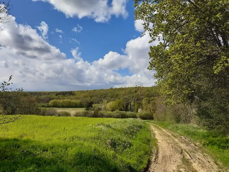 Entre osier et troglos : randonnée de Villaines-les-Rochers.