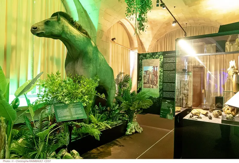 Conférence Touraine tropicale au muséee de la préhistoire au Grand pressigny en Indre-et-loire en présence d'Étienne Martegoutte, conseiller départemental d'indre-et-loire. Le 30 avril 2025.