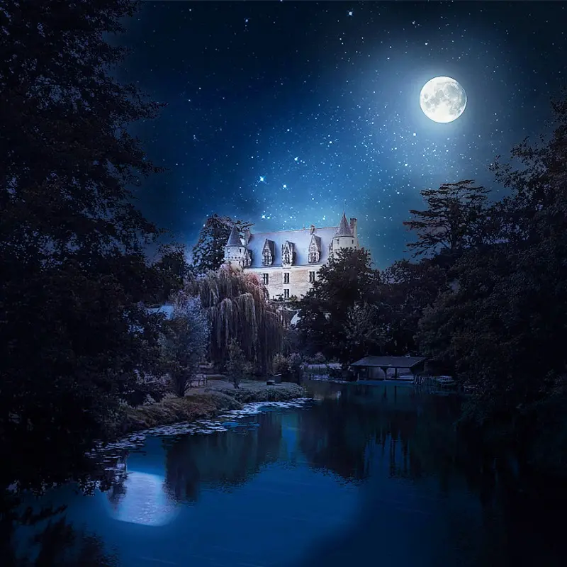 2025_la nuit des châteaux Montresor