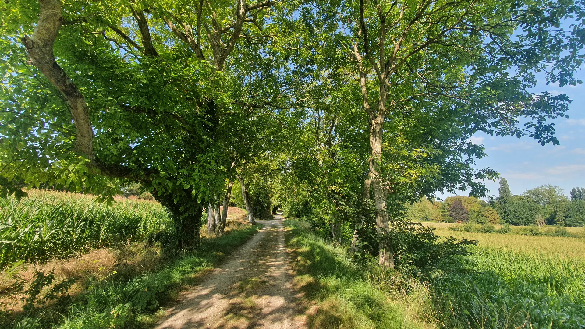 Ancienne voie de chemin de fer