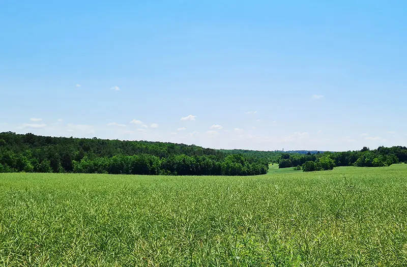 Sur les hauteurs de Paulmy