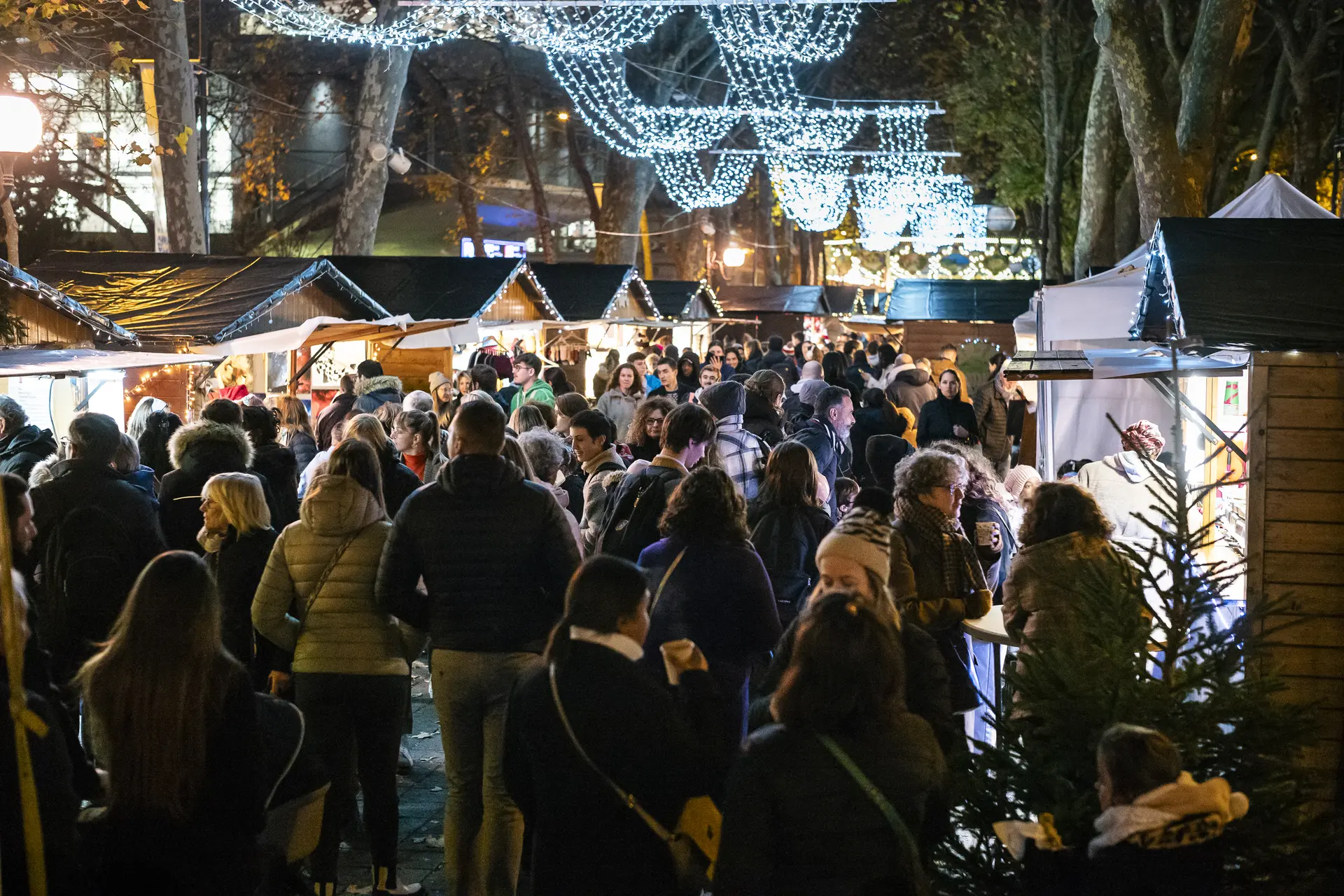 20231124 Illuminations de Noel © Ville de Tours - F. Lafite 10