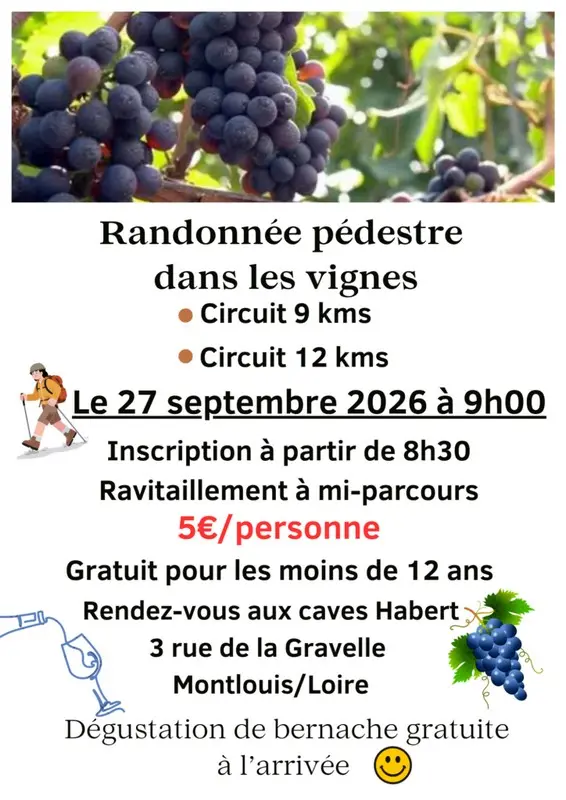 Randonnée pédestre dans les vignes à Montlouis