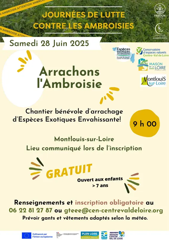 Chantier ambroisie Montlouis