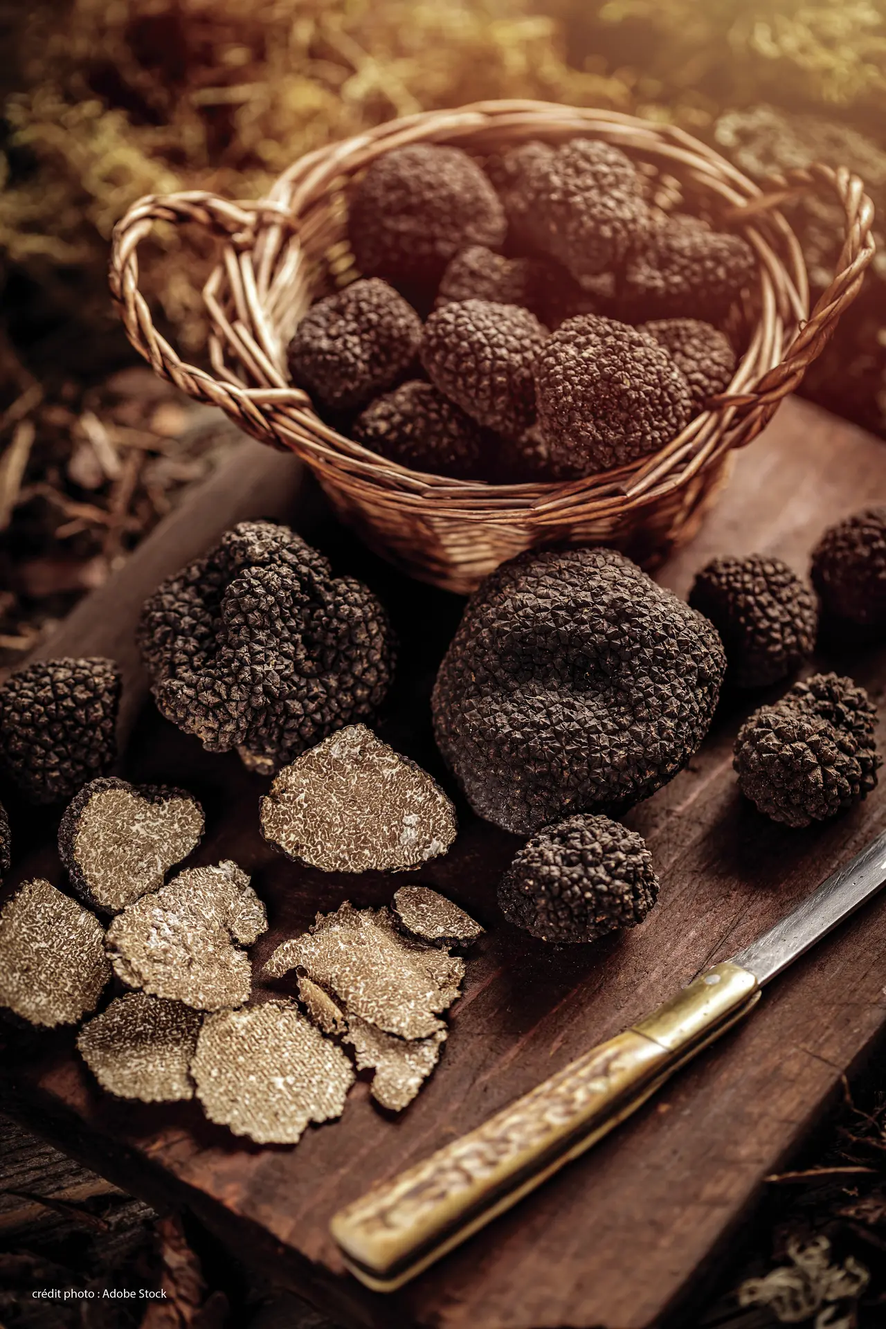 Black truffle mushrooms