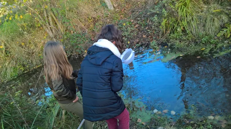 wp-20161128-09-24-59-pro