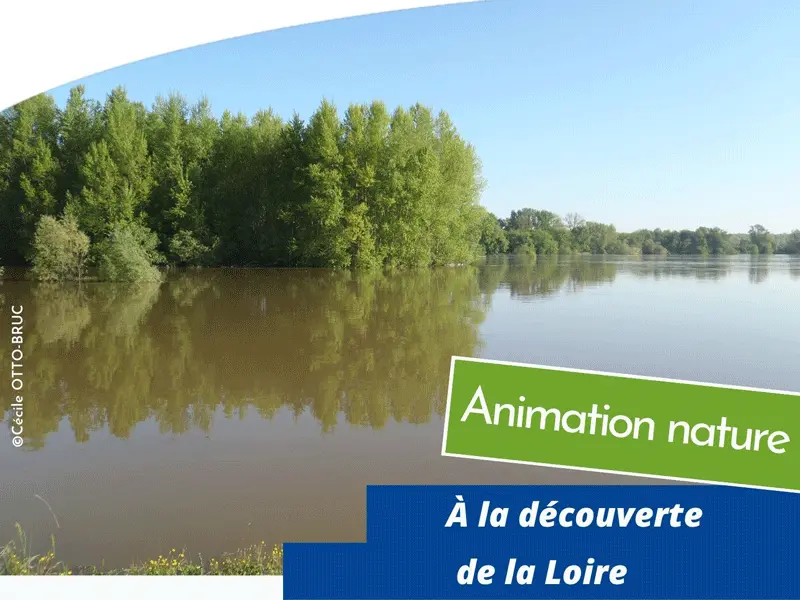 Animation à la découverte de la Loire