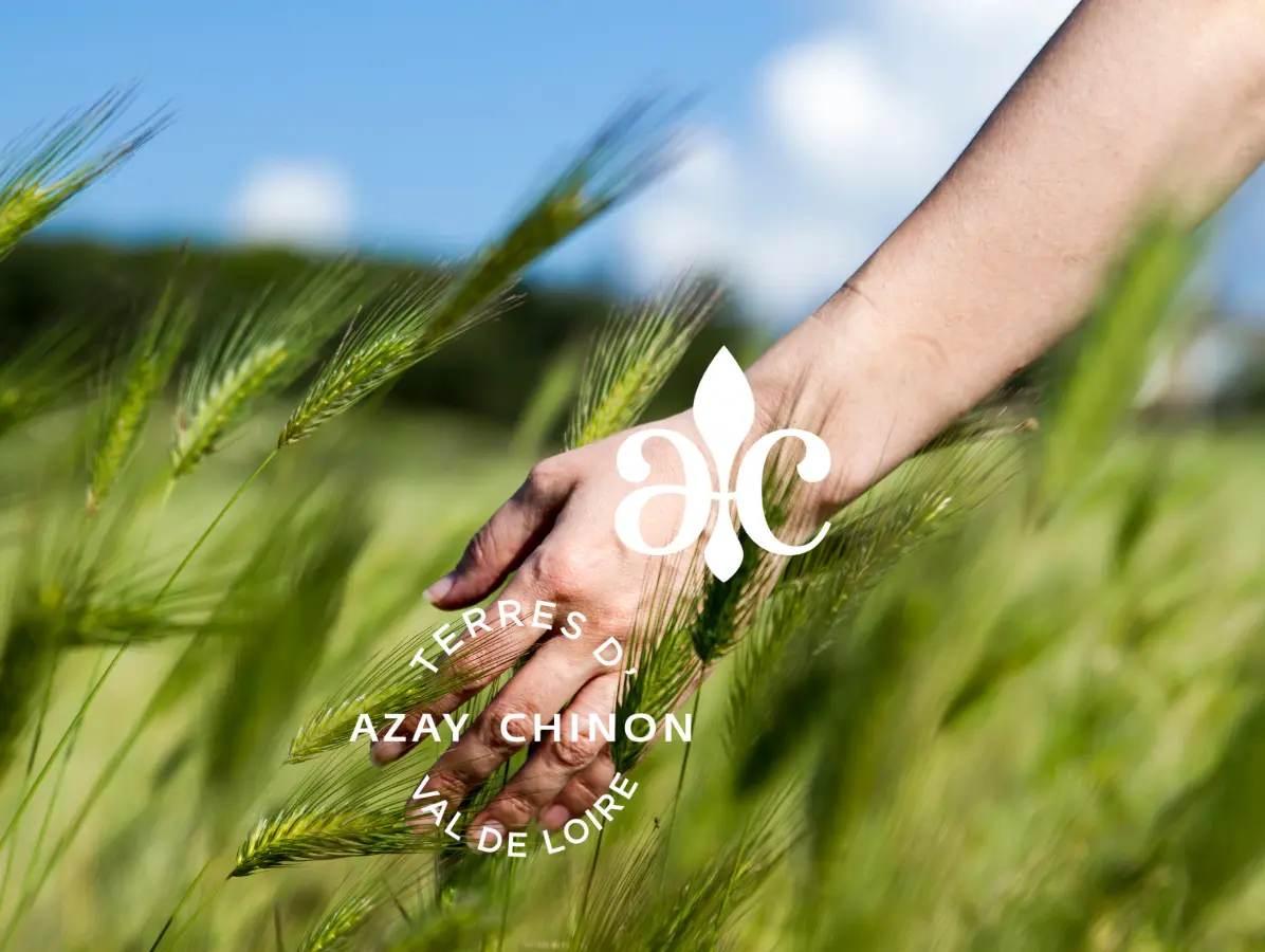 Affiche nature