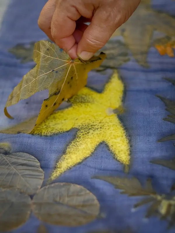 Atelier impression végétale Montlouis crédits Bains de Couleurs