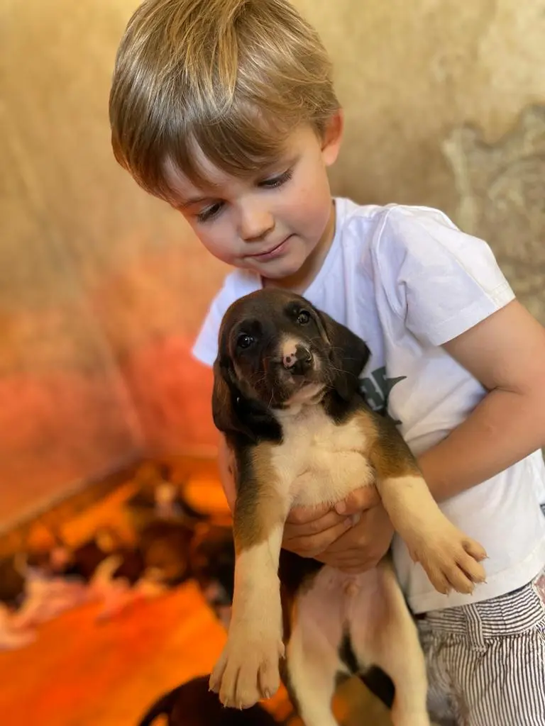 Atelier pédagogique chiots_Enfant et chiot_Champchevrier_BD