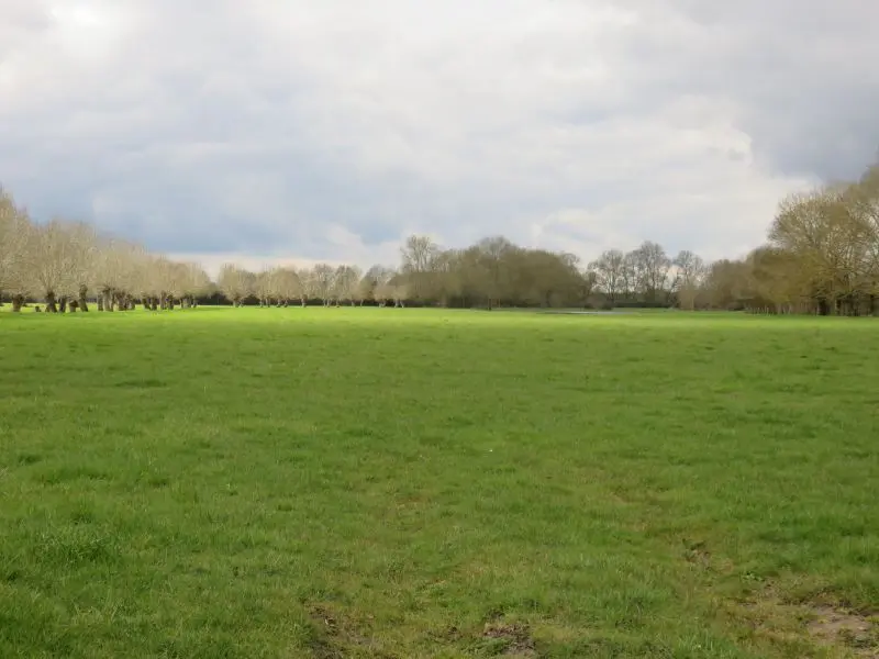 Bocage © JULIEN PRESENT (2)