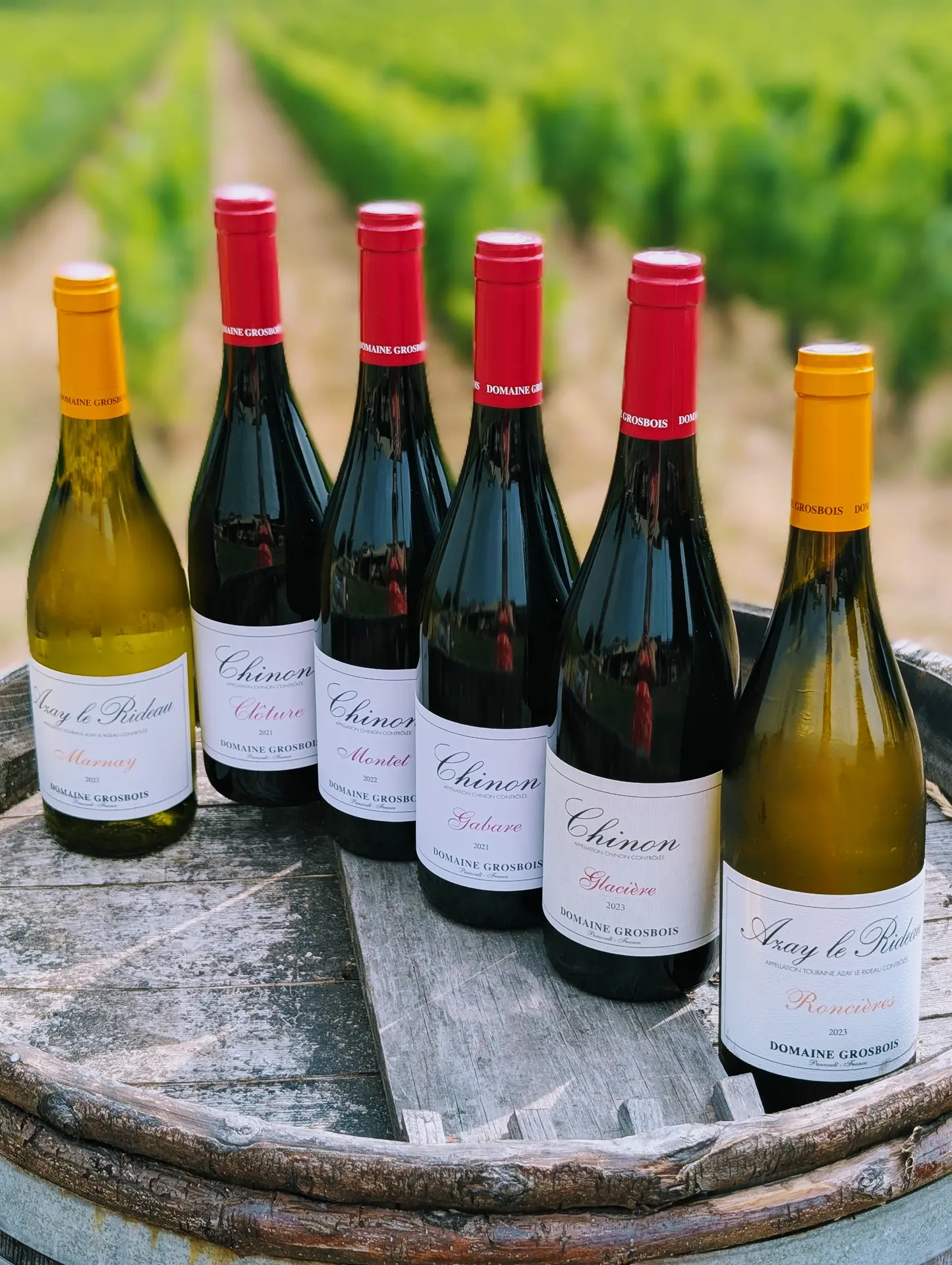 Bouteilles_Domaine_Grosbois