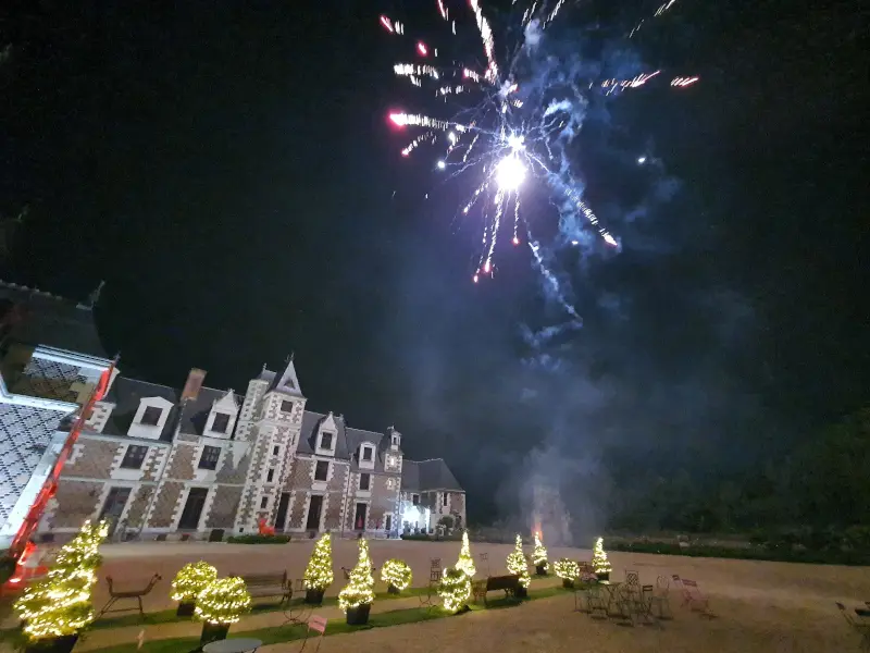 By night with fireworks