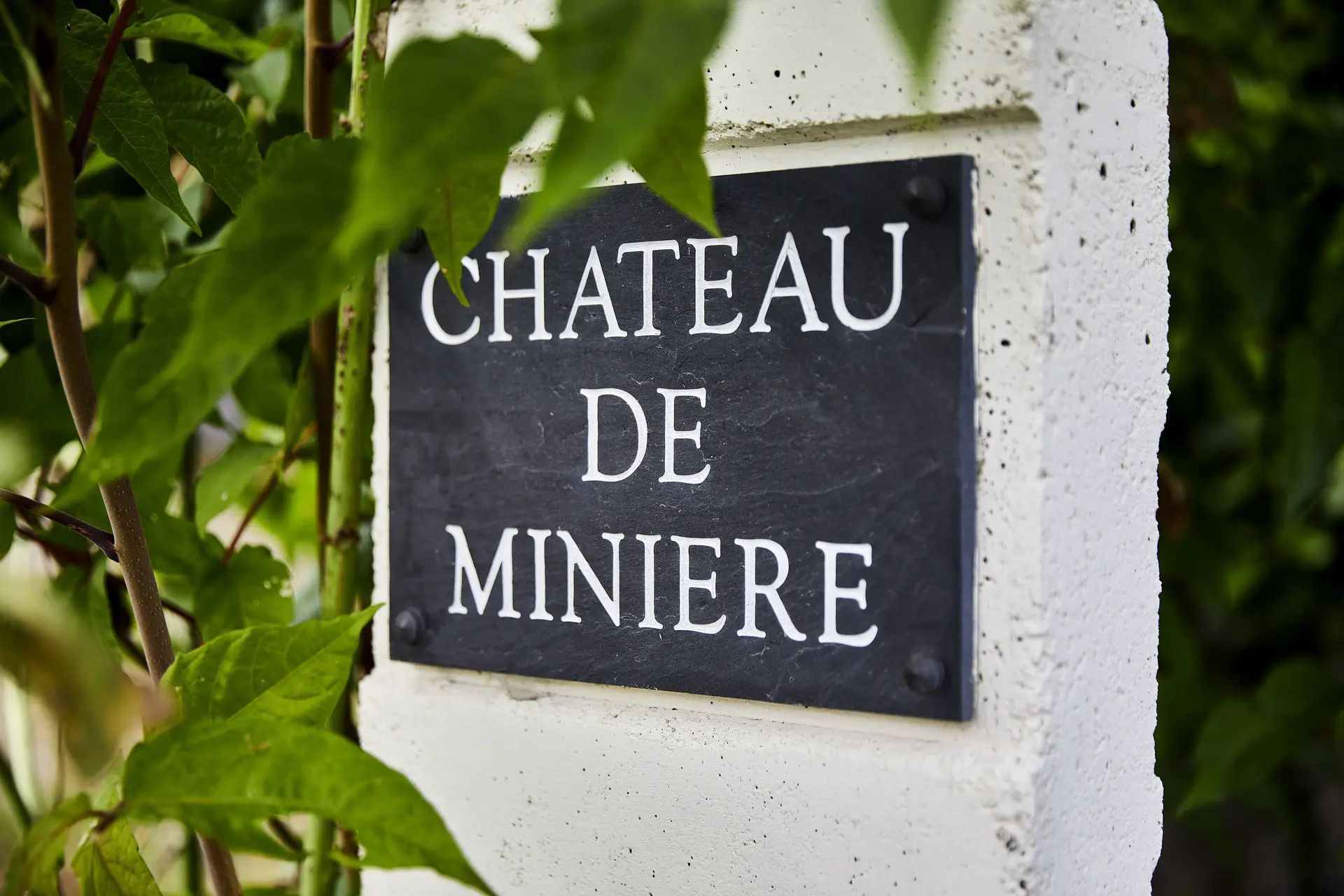 CHATEAU DE MINIERE_14