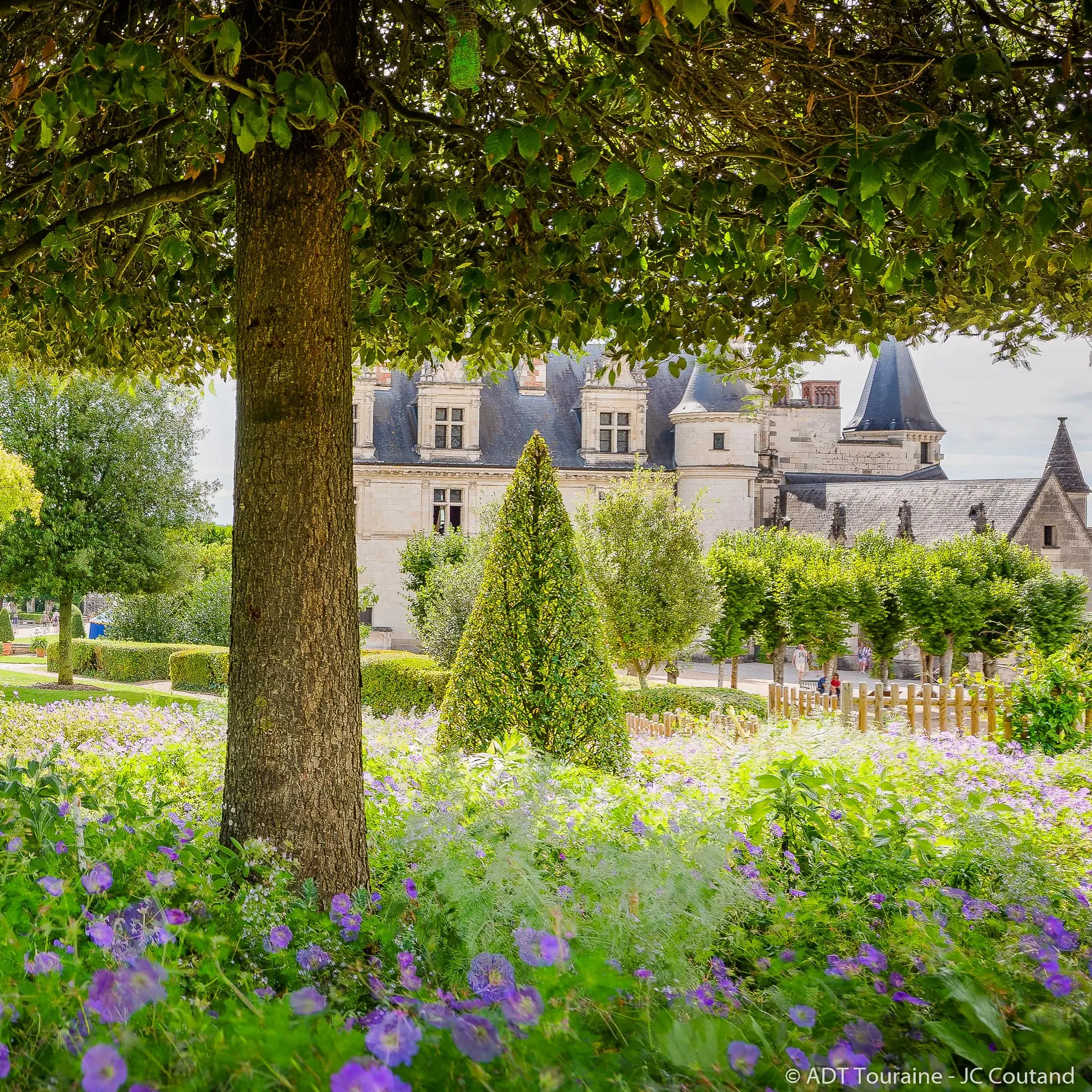 Chateau royal amboise Credit ADT Touraine JC Coutand 2028-131