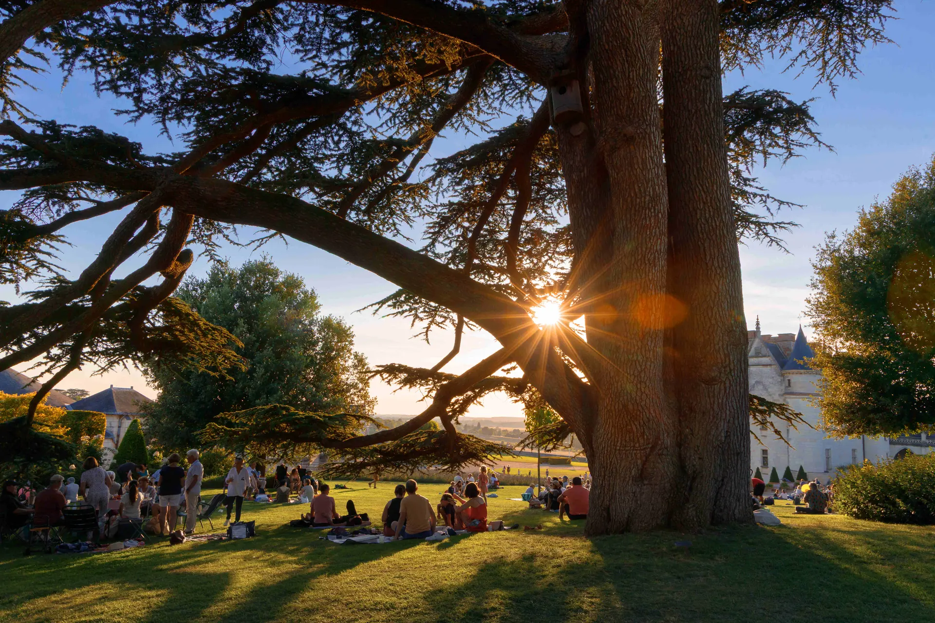 Château royal d'Amboise (c)Léona (2)