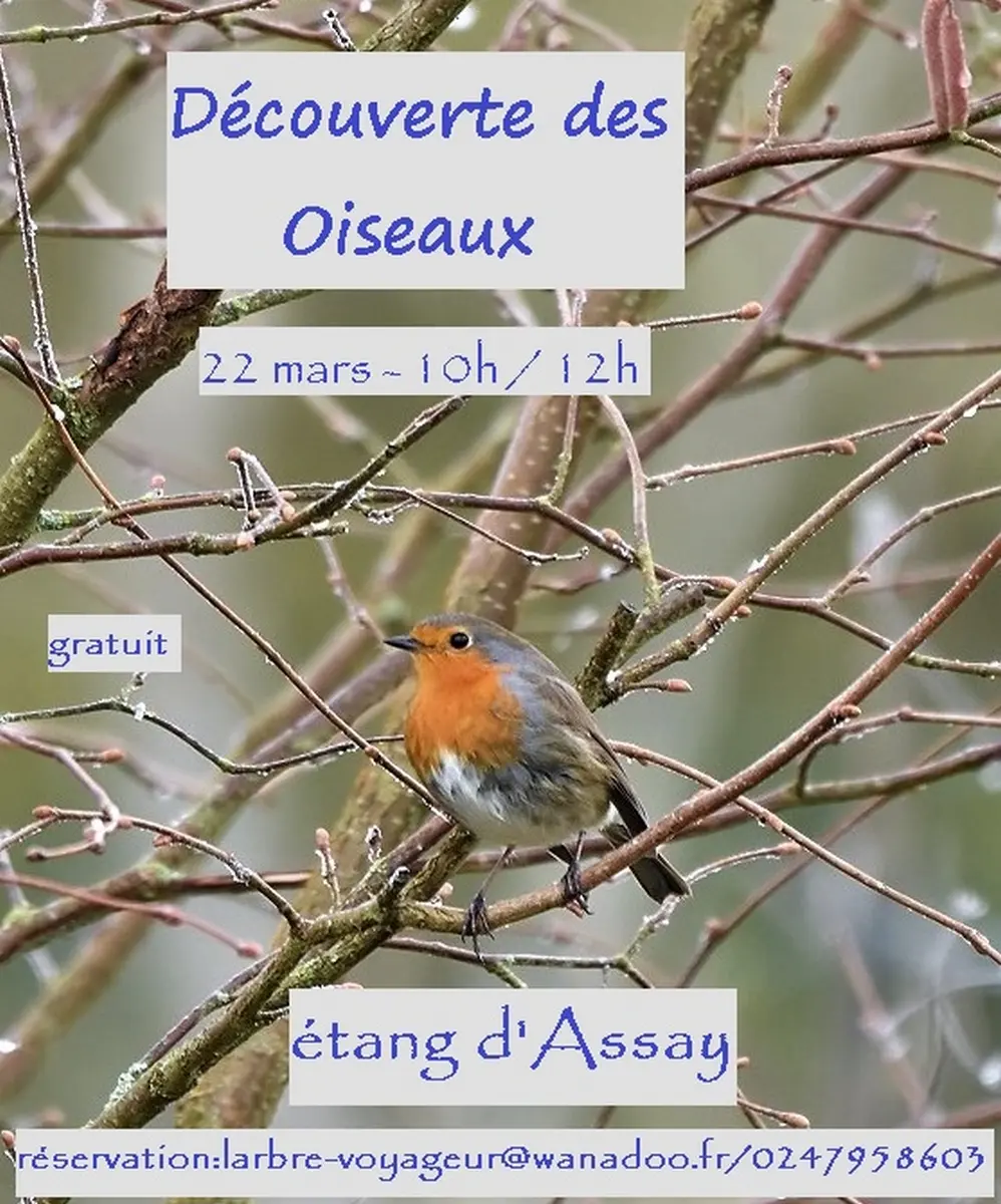 Découverte des oiseaux Assay 22 mars 2026