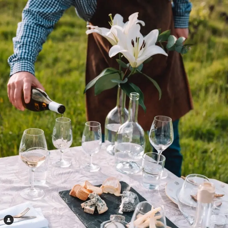 Dégustation fromages et vins