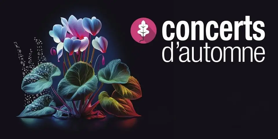 Design sans titre - 1
