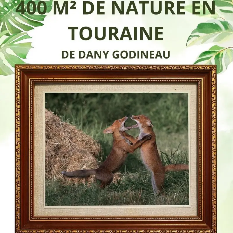 Expo Dany Godineau Maison de la Loire