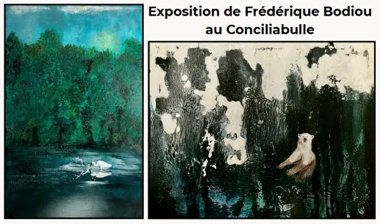 Expo de Frédérique Bodiou Montlouis