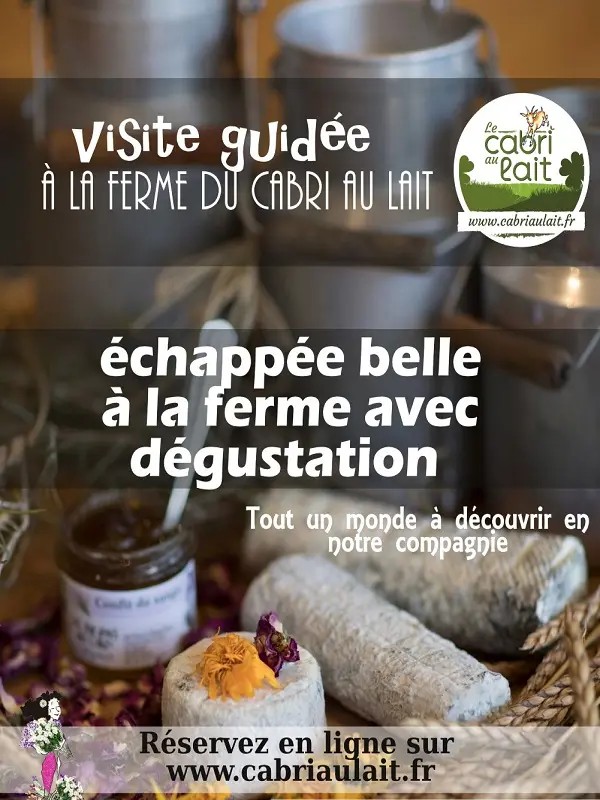 FLYER VISITE GUIDEE ETE 2023 petite