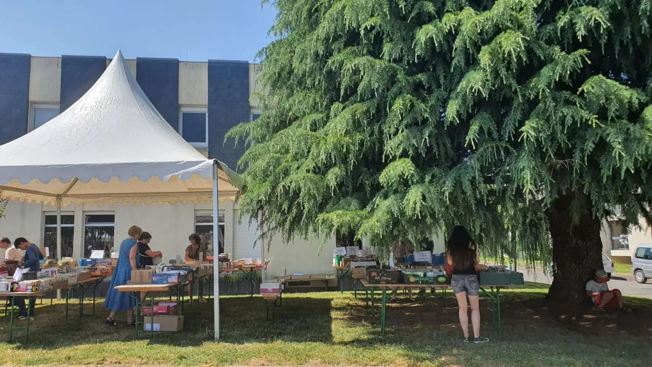 Fête médiathèque